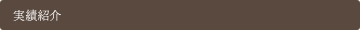 実績紹介